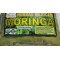 Hojas de Moringa, Te de moringa : Moringa Leaf, moringa oleifera organic