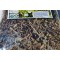 Mirto arrayán Hierba, Arrayán, Mirto, Murta : Murta Tea , Mirtus, Myrtus communis, Mexican Arrayan