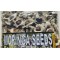 Semillas de Moringa
