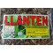  Llanten, lantén Mayor, Plantago major  : Plantein Herbal tea