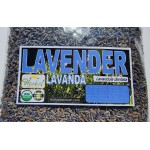  lavandula dentata, flor lavanda organico : Lavender, Alhucema