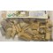 Chaparro Amargo, Castela Tortuosa,Amargoso   : Castela texan, Texan Goatbush 