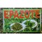 El Epazote, Pazoli o Paico : The Epazote
