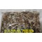 Flor de Gordolobo, Mullein Flor, Gordolobo, manzanilla del campo, manzanilla del río, tzompotonic, lobito, papaconi, tlacochichic, tzompotonic : Mullein Flower, Verbascum thapsus, cudweed, cotton grass, Copy