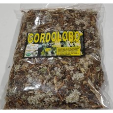 Flor de Gordolobo, Mullein Flor, Gordolobo, manzanilla del campo, manzanilla del río, tzompotonic, lobito, papaconi, tlacochichic, tzompotonic : Mullein Flower, Verbascum thapsus, cudweed, cotton grass, Copy