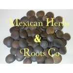 Habas de San Ignacio, Semillas de habas, Semillas super purgantes, Hura polyandra